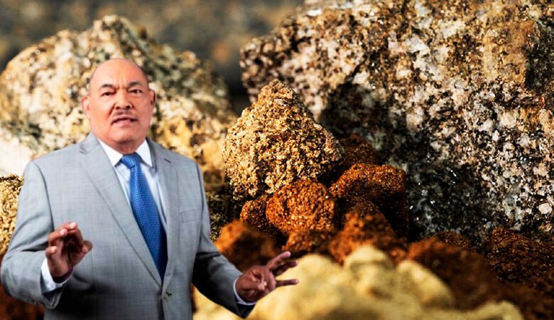 Las tierras raras están protegidas por decreto