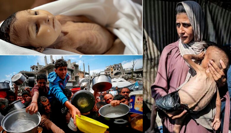 ¡ONU declara hambruna en Gaza!